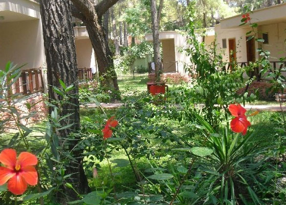 Club Pınara